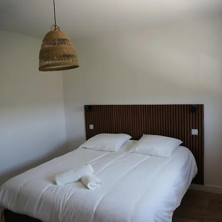 Villa Luxurious With Pool In For 12 People